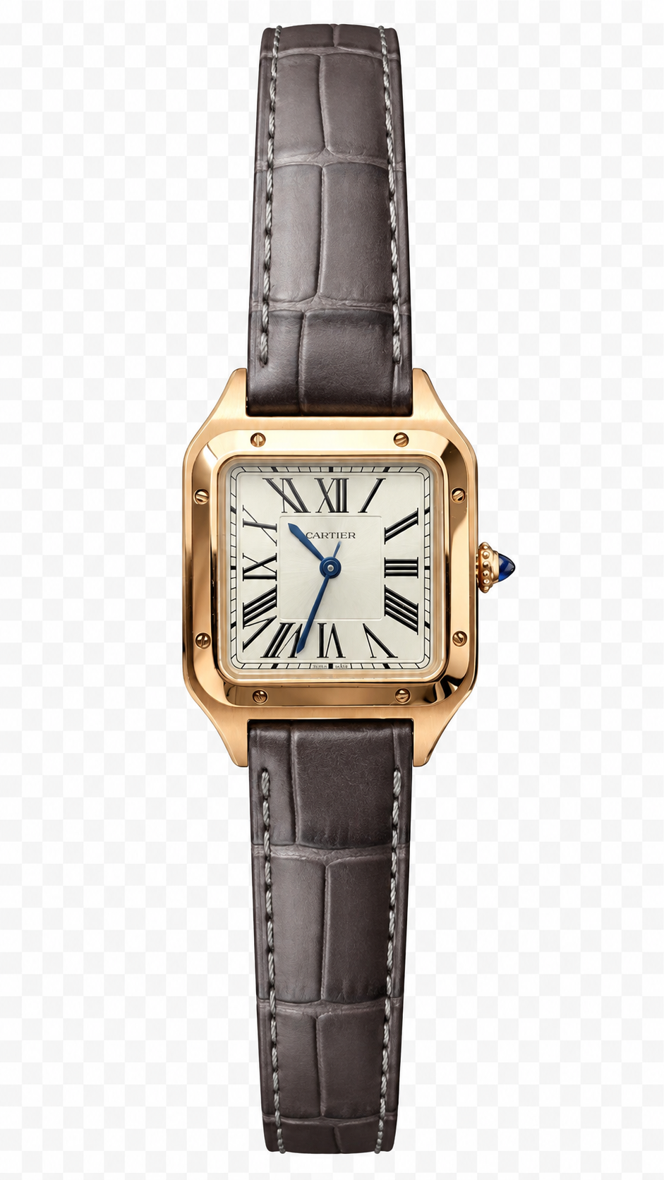 Cartier Santos de Cartier